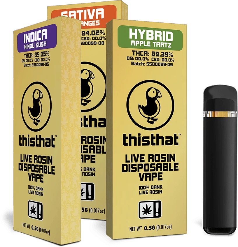 thisthat live rosin disposable vape, half gram, solventless